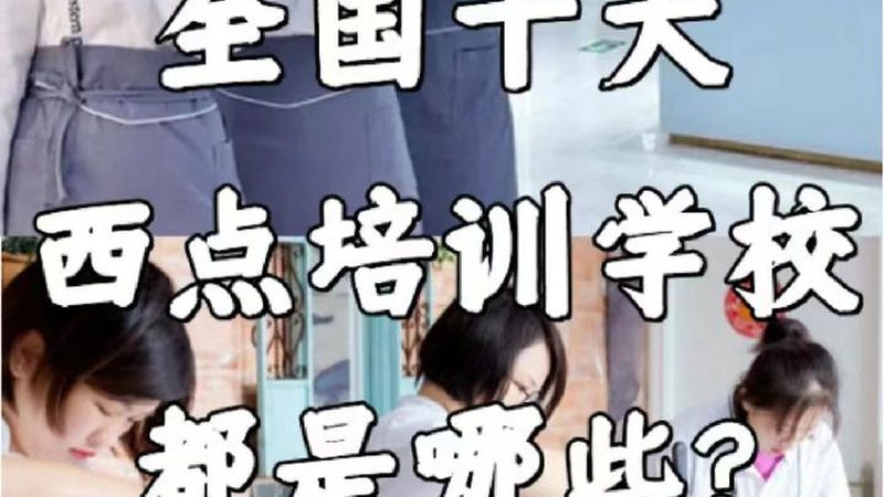 少儿编程与Scratch：探究两者的本质区别